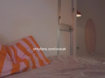 girl
        ocicat cam image #4159863