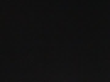 couple
        masha_squirtle cam image #1183402