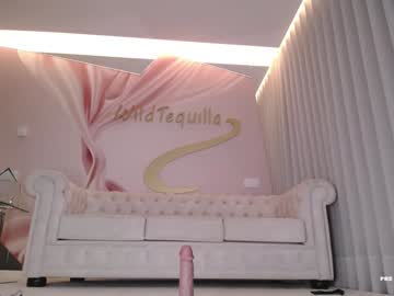 girl
        wildtequilla cam image #3172725