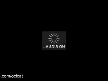 girl
        ocicat cam image #4544474