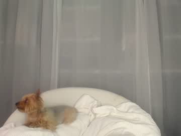 girl
        eevie_moon cam image #825203