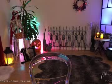 girl
        phoenix_taylor cam image #1728051
