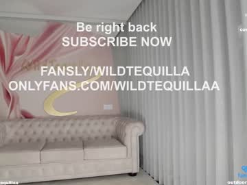 girl
        wildtequilla cam image #2769780
