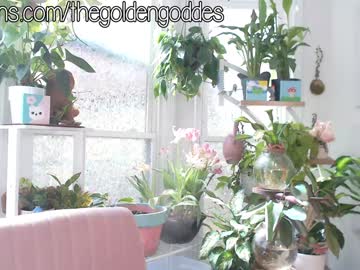 girl
        goldengoddessxxx cam image #4258599