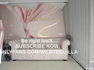 girl
        wildtequilla cam image #1405836
