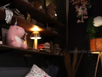 girl
        kateharrise cam image #3027401