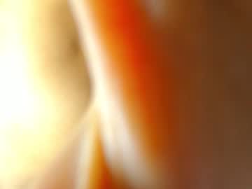 girl
        lean_lie cam image #686922