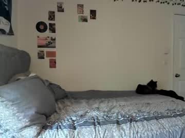 girl
        justpiper cam image #2787989