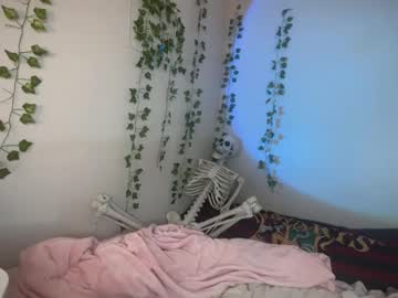 girl
        hexivu cam image #3552656