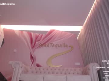 girl
        wildtequilla cam image #233820
