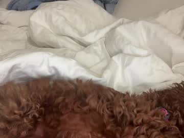 girl
        sarah_heart_aus cam image #3907958