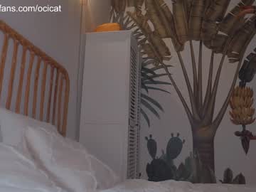 girl
        ocicat cam image #3039942