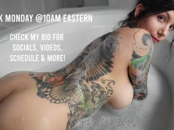 girl
        harliequinnx cam image #3500135