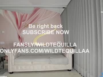 girl
        wildtequilla cam image #2904228