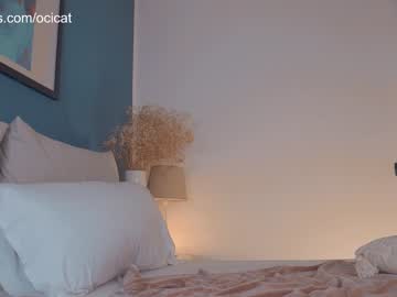 girl
        ocicat cam image #2641289