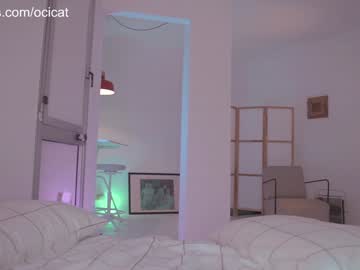 girl
        ocicat cam image #3461118