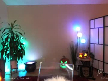 girl
        phoenix_taylor cam image #1828703