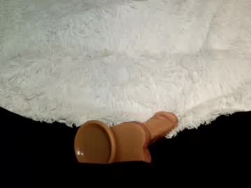 girl
        jaelynn_ cam image #3772025