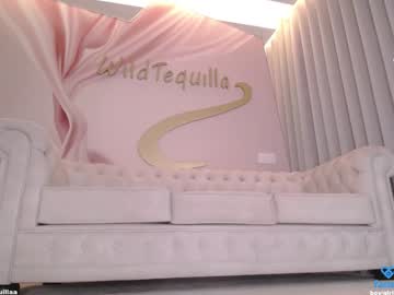 girl
        wildtequilla cam image #2966955