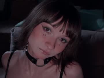 girl
        chaturbatable cam image #2708082