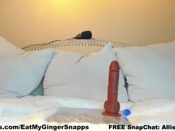 girl
        eatmygingersnapps cam image #2358605