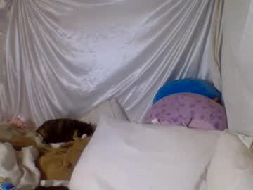 girl
        ari_02 cam image #1344588