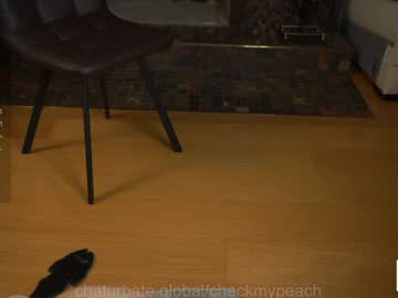 girl
        checkmypeach cam image #3598667