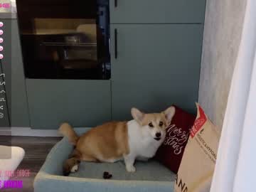 girl
        nika_lodge cam image #1361652