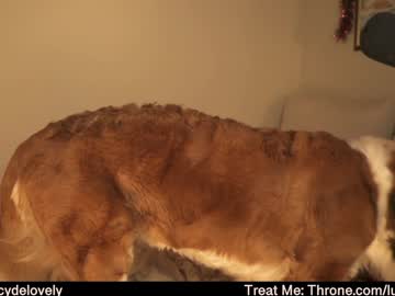 girl
        lucydelovely cam image #3846634
