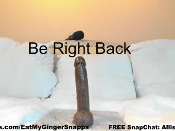 girl
        eatmygingersnapps cam image #2741100