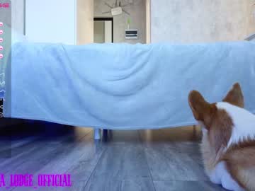 girl
        nika_lodge cam image #1146899