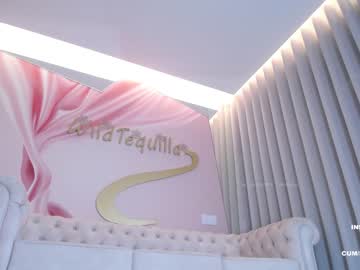 girl
        wildtequilla cam image #2099722