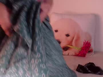 girl
        foxydiamond2020 cam image #2945060