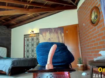 girl
        little_izzi cam image #3018867
