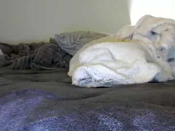 couple
        dombaee cam image #1478989