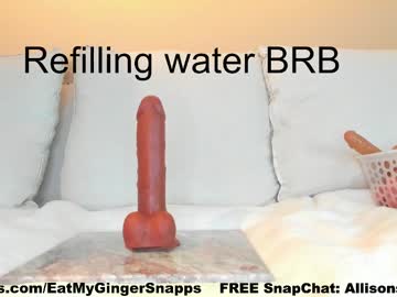 girl
        eatmygingersnapps cam image #1448639