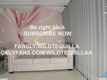 girl
        wildtequilla cam image #2818192