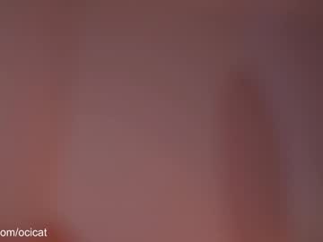 girl
        ocicat cam image #4491553