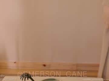 girl
        emersoncane cam image #1827139